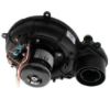 Picture of C++ 1191198 INDUCER ASSEMBLY