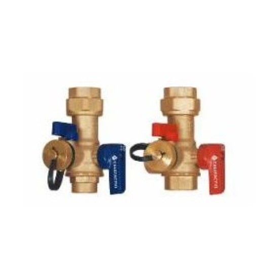 Picture of TK100NPT 1" NPT TANKLESS WTR HEATER VLV