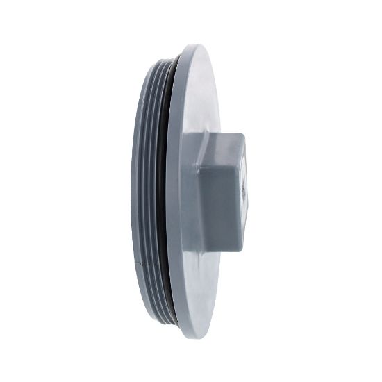 Picture of 6" PVC XFR MIP PLUG C/O