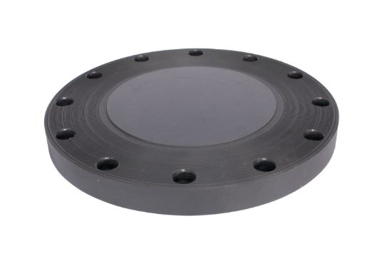 Picture of P++ 14" PVC 80 FLANGE BLIND
