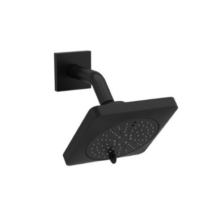 Picture of 343BK 2-JET SHOWER HEAD WITH ARM