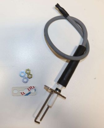 Image de 100284488 ROD IGNITOR