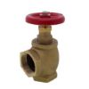 Picture of 06-830-00 2 ANGLE GLOBE VLV UL