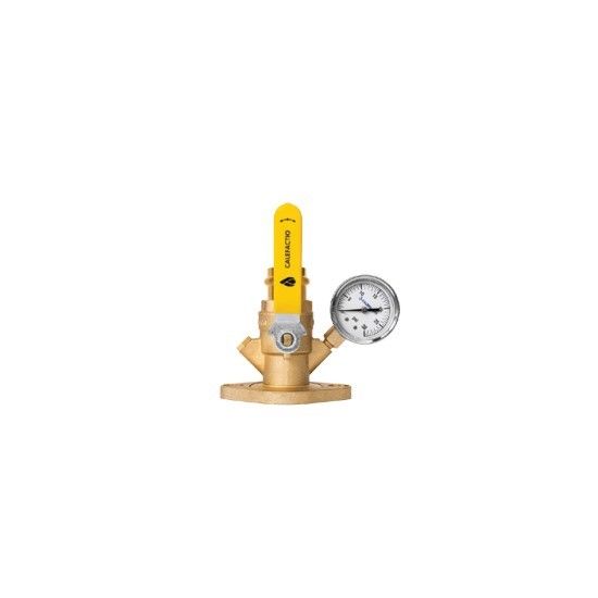 Picture of PF100P-ND 1"PRESS PUMP ISO FLANGE