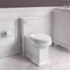 Picture of C++ OTOWN 1PC ELG SGLFLSH TOIL W/SEAT WH