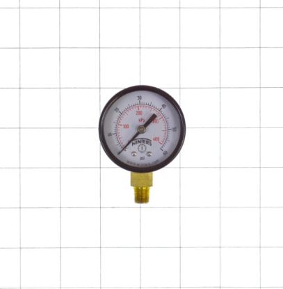 Picture of PEM207 2 0-60 ECONO GAUGE 1/8NPT BTM