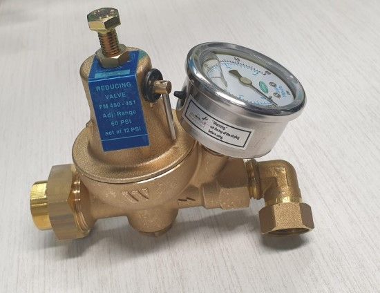 Picture of SF100-0300 PRE REG VALVE