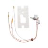Picture of 100109293 PILOT ASSEMBLY