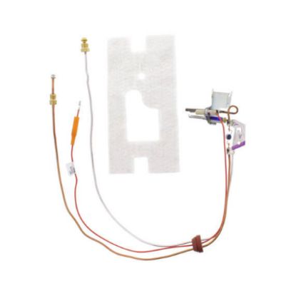 Image de 100109293 PILOT ASSEMBLY