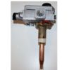 Image sur 100111285 GSW GAS VLV ROBERTSHAW F/GSW