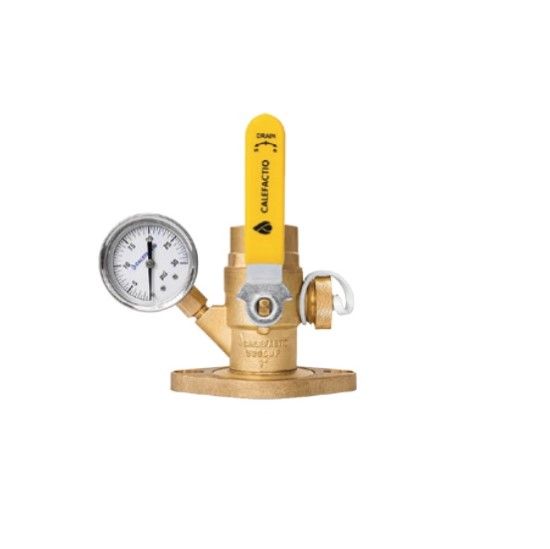 Picture of PF100ND 1" NPT FLG SGL W/D