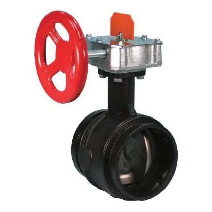 Image de 707C 8 VLV PAPIL SUPERV FERMEE