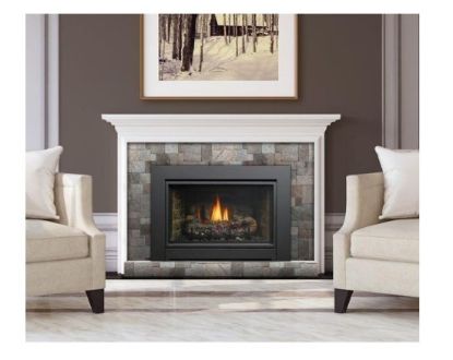 Picture of IDV34NE DV FIREPLACE INSERT IPI NG