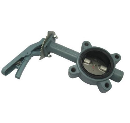 Picture of 6141EL 21/2 LUG DI #200 BFLVLV EPDM