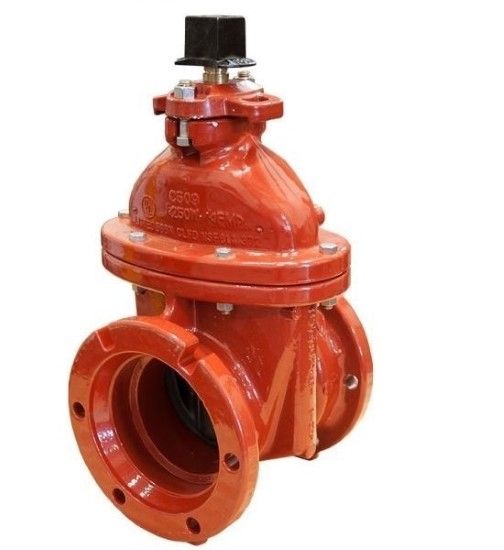 Picture of 200MM (8) A2362-23 OL MJ RW GATE VALVE