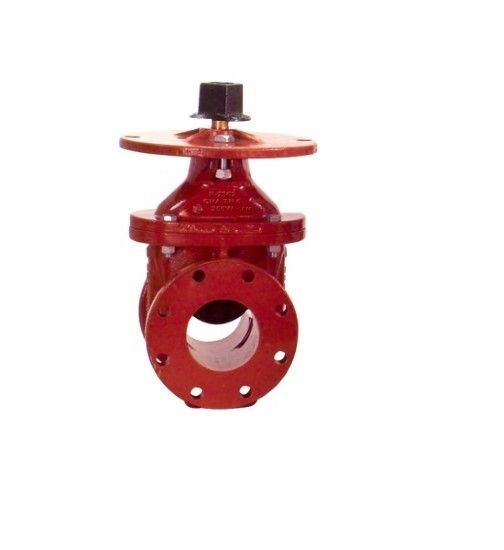 Image sur 6"P2362-06 MUE PIV FLG D VALVE