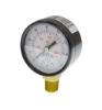 Picture of PEM203 2 0-160 ECONO GAUGE 1/4NPT BTM