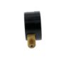 Picture of PEM202 2 0-100 ECONO GAUGE 1/4NPT BTM