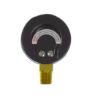 Picture of PEM207 2 0-60 ECONO GAUGE 1/8NPT BTM