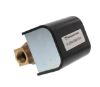 Picture of FS5-3/4  LIQUID FLOW SWITCH MCD/MILLER