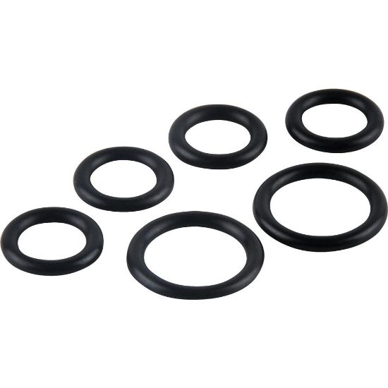 Picture of 644 (6) JAMECO O RING KIT