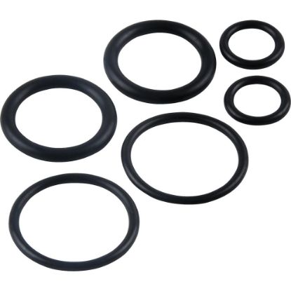 Picture of 646 (6) WALCBURG O RING KIT