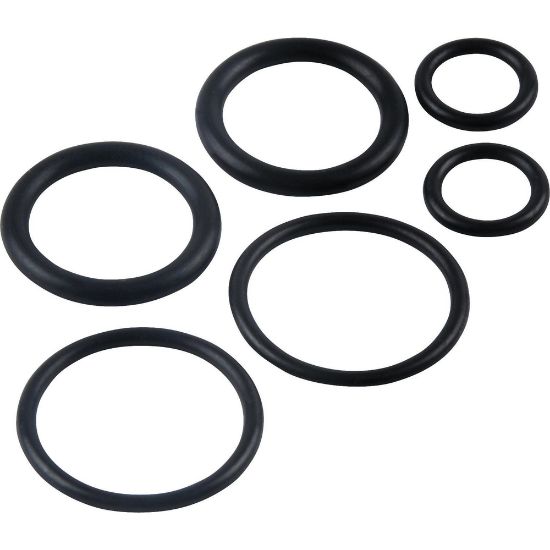 Picture of 646 (6) WALCBURG O RING KIT