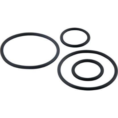 Picture of 650 (4) VALLEY O RING KIT