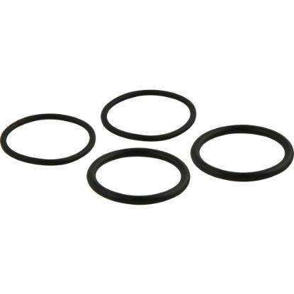 Picture of D-10 "O"RING KIT DELTA RP25
