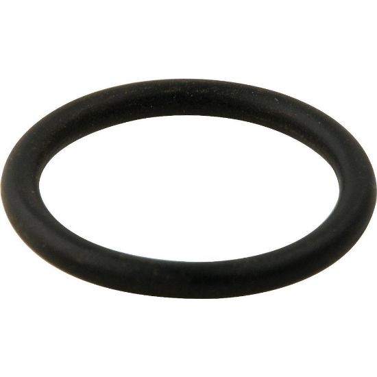 Picture of Q732G  1 5/16 O.D. 1/8 O RING MAP