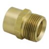 Image sur A4332075 R20 X 3/4 CUIV ADAPT FEM