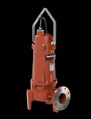 Picture of LSV505V1 5HP 3PH 575V VD 100' SEW PUMP