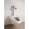 Picture of 81T201HWA WC HARDWIRE FLUSH VALVE