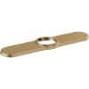 Picture of RP100845CZ ESCUTCHEON - P/D