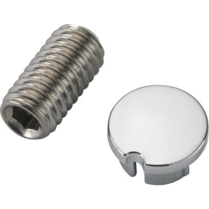 Picture of RP84938 BUTTON AND SETSCREW