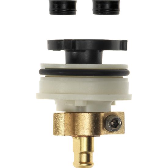 Picture of RP1991 SCALDGUARD STEM UNIT ASSY
