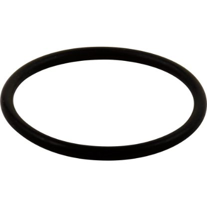 Picture of RP23336 D/DS-LG O RING-ALL  MONITOR SE