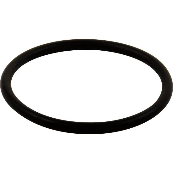 Picture of RP23336 D/DS-LG O RING-ALL  MONITOR SE