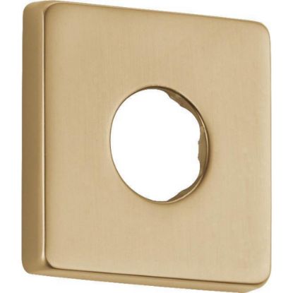 Picture of RP51034CZ FLANGE - SHOWER