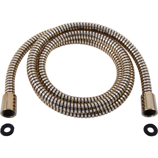 Picture of RP64157PB D HANDSHOWER HOSE