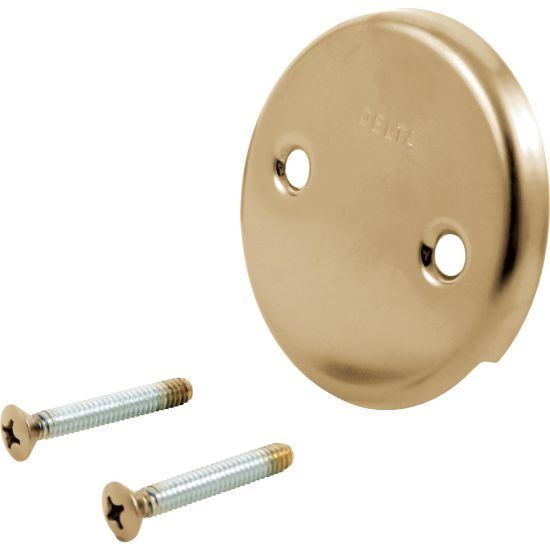 Picture of RP31556CZ OVERFLOW PLATE AND SCREWS