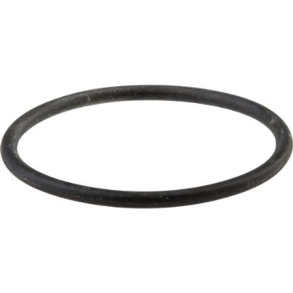 Picture of RP44648 O-RING