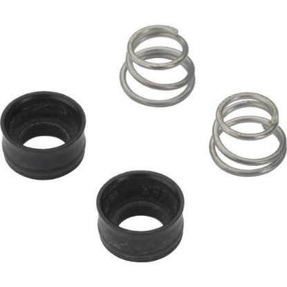 Picture of RP4993 DELTA SPRING & WASHER KIT