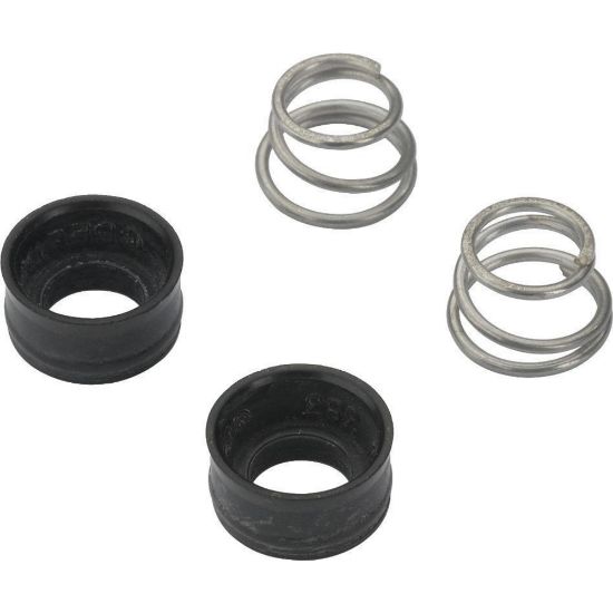 Picture of RP4993 DELTA SPRING & WASHER KIT