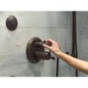Picture of T50010-RB BODY SPRAY TRIM