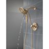 Picture of T17289-CZ-PR 17 SERIES SHOWER TRIM