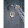 Picture of T17272-SS-PR 17SER SHW TRIM W/H2OKINET