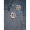 Picture of T17272-SS-PR 17SER SHW TRIM W/H2OKINET