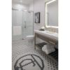 Picture of RP6025CZPR FLANGE - SHOWER LUMICOAT