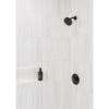 Picture of T14271-BL 14 SERIES SHW TRIM